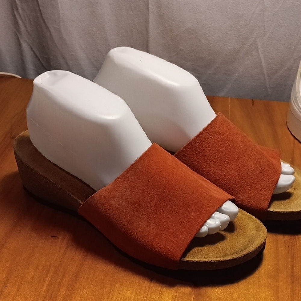 A. Giannetti Sandal Size 9